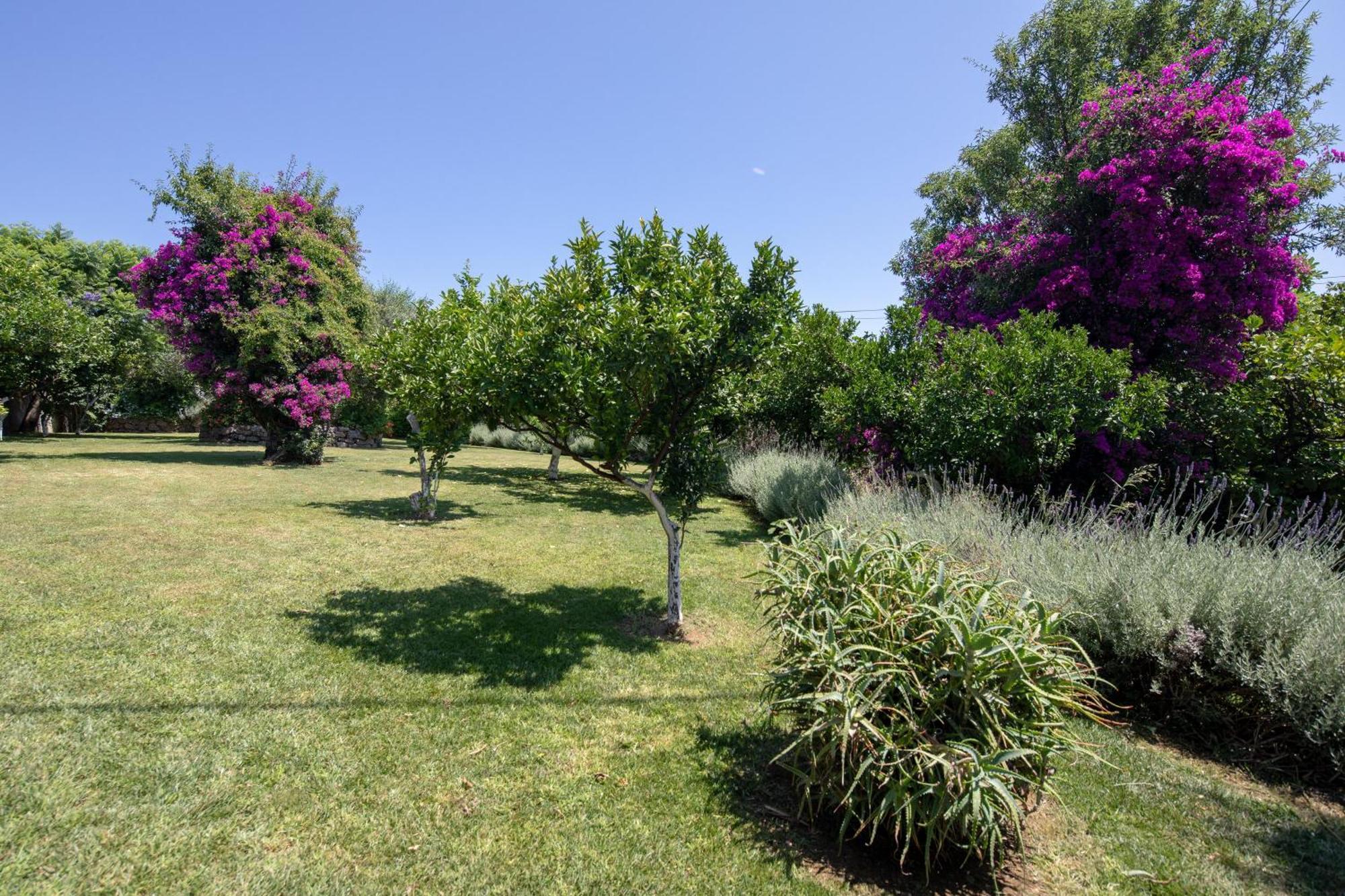 Ionian Garden Villas - Villa Pietra Benitses  Exterior foto